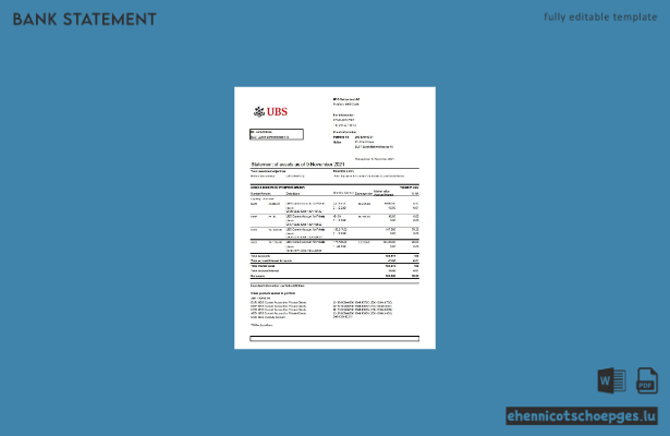 Schweizer UBS-Kontoauszug (Excel-Version 2, Beispielvorschau)